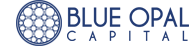 Blue Opal Capital
